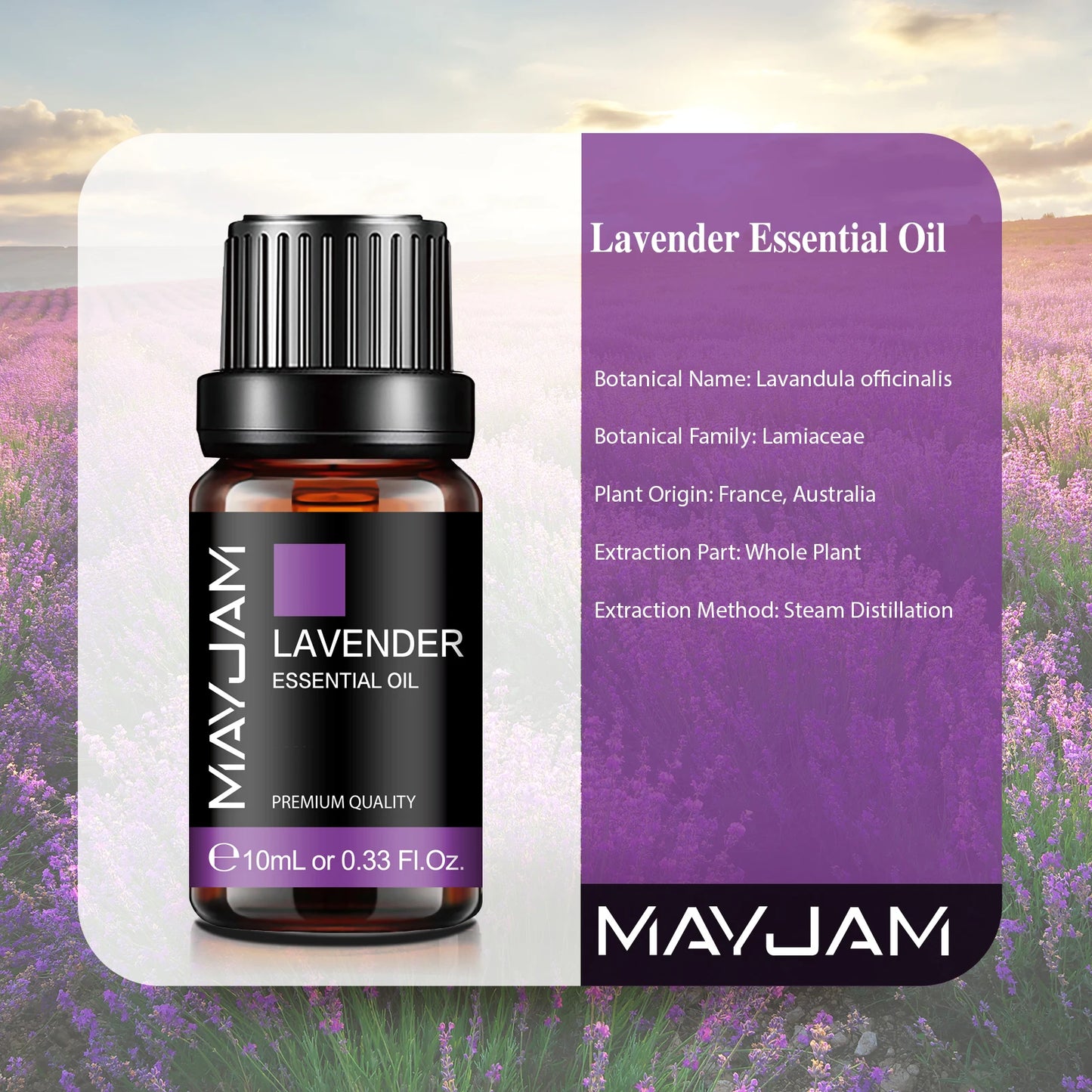 Aromatherapy Essential Oil [10ML]